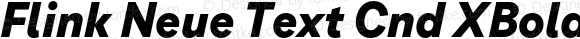 Flink Neue Text Cnd XBold Italic Version 2.100;Glyphs 3.1.2 (3150)