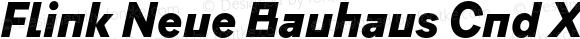 Flink Neue Bauhaus Cnd XBold Italic Version 2.100;Glyphs 3.1.2 (3150)