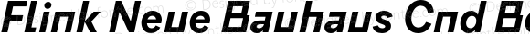 Flink Neue Bauhaus Cnd Bold Italic