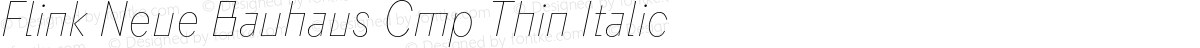 Flink Neue Bauhaus Cmp Thin Italic