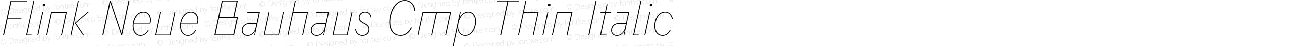 Flink Neue Bauhaus Cmp Thin Italic