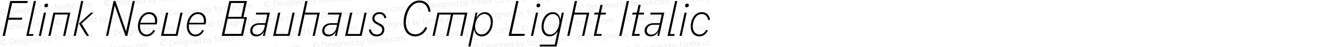 Flink Neue Bauhaus Cmp Light Italic