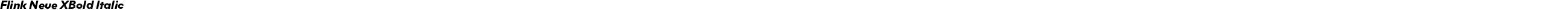 Flink Neue XBold Italic