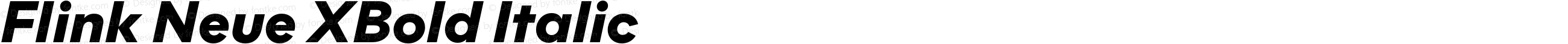 Flink Neue XBold Italic