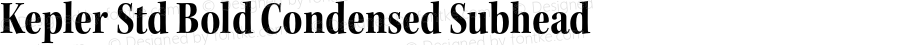 Kepler Std Bold Condensed Subhead