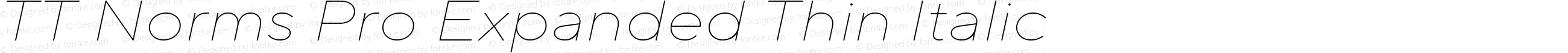 TT Norms Pro Expanded Thin Italic