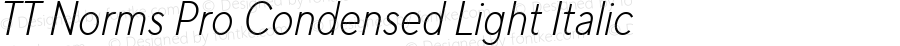 TT Norms Pro Condensed Light Italic