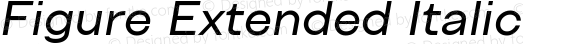 Figure Extended Italic