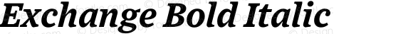 Exchange Bold Italic