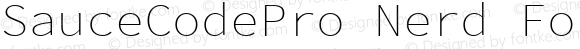 Sauce Code Pro ExtraLight Nerd Font Complete Mono