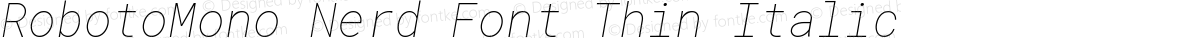 RobotoMono Nerd Font Thin Italic
