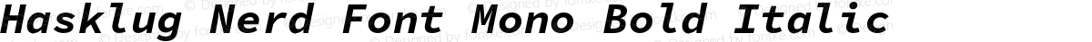 Hasklug Nerd Font Mono Bold Italic