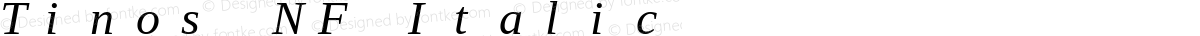 Tinos NF Italic