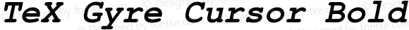 TeX Gyre Cursor Bold Italic