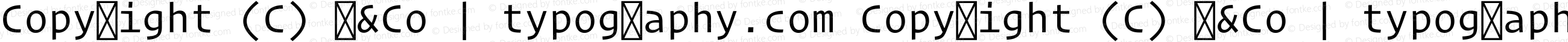 Copyright (C) H&Co | typography.com Copyright (C) H&Co | typography.com