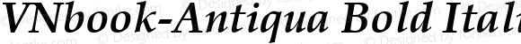 VNbook-Antiqua Bold Italic