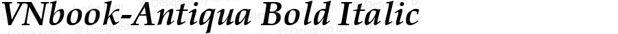 VNbook-Antiqua Bold Italic