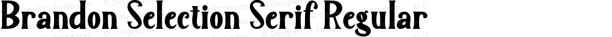 Brandon Selection Serif Regular