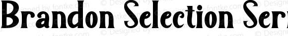 Brandon Selection Serif Regular