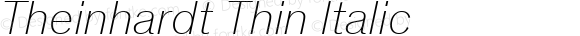 Theinhardt Thin Italic