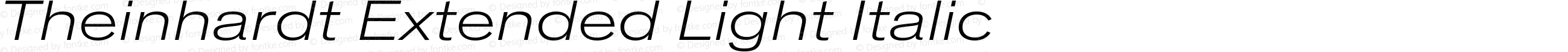 Theinhardt Extended Light Italic