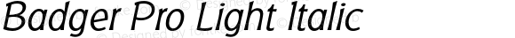 Badger Pro Light Italic Version 4.001;com.myfonts.easy.redrooster.badger-pro.light-italic.wfkit2.version.3nPE
