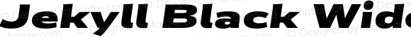 Jekyll Black Wide Italic