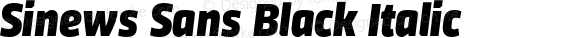Sinews Sans Black Italic