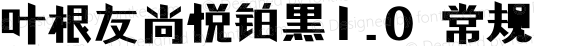 叶根友尚悦铂黑1.0 常规