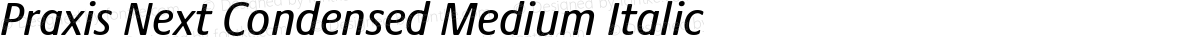 Praxis Next Condensed Medium Italic