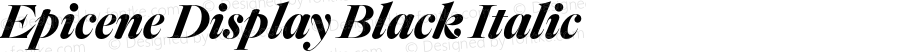 Epicene Display Black Italic