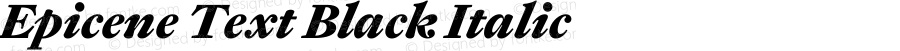 Epicene Text Black Italic