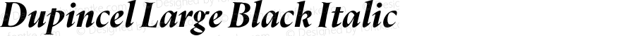 Dupincel Large Black Italic