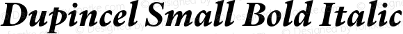 Dupincel Small Bold Italic