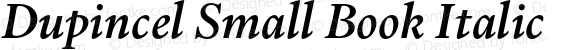 Dupincel Small Book Italic