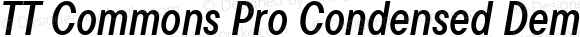 TT Commons Pro Condensed DemiBold Italic