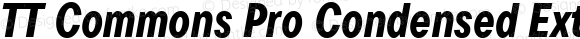 TT Commons Pro Condensed ExtraBold Italic