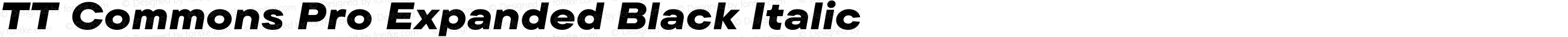 TT Commons Pro Expanded Black Italic