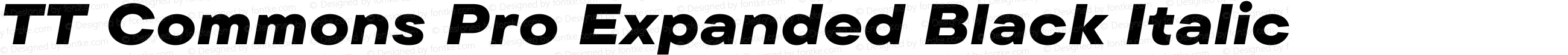 TT Commons Pro Expanded Black Italic