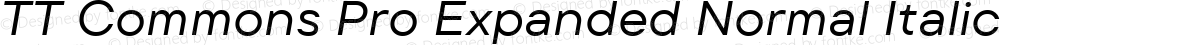 TT Commons Pro Expanded Normal Italic