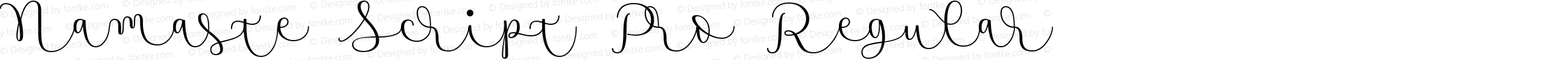 Namaste Script Pro Regular