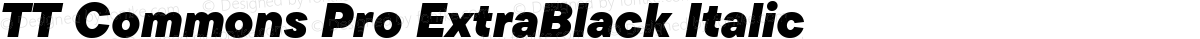 TT Commons Pro ExtraBlack Italic