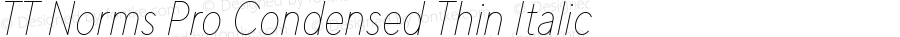 TT Norms Pro Condensed Thin Italic