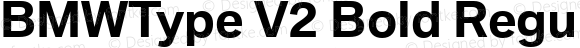 BMWType V2 Bold Regular