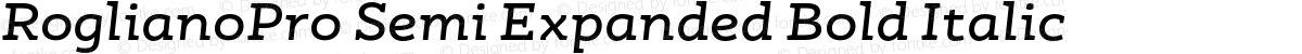RoglianoPro Semi Expanded Bold Italic