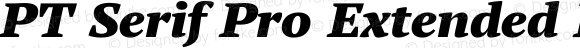 PT Serif Pro Extended Black Italic