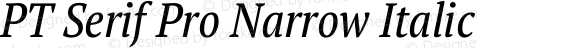 PT Serif Pro Narrow Italic