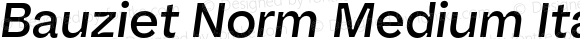 Bauziet Norm Medium Italic