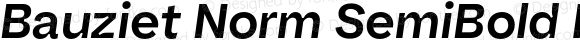 Bauziet Norm SemiBold Italic