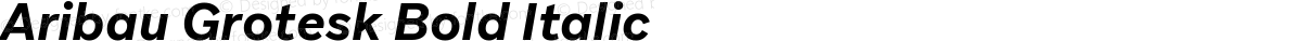 Aribau Grotesk Bold Italic